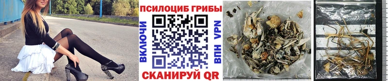 где найти наркотики  Энем  hydra онион  Галлюциногенные грибы ЛСД 